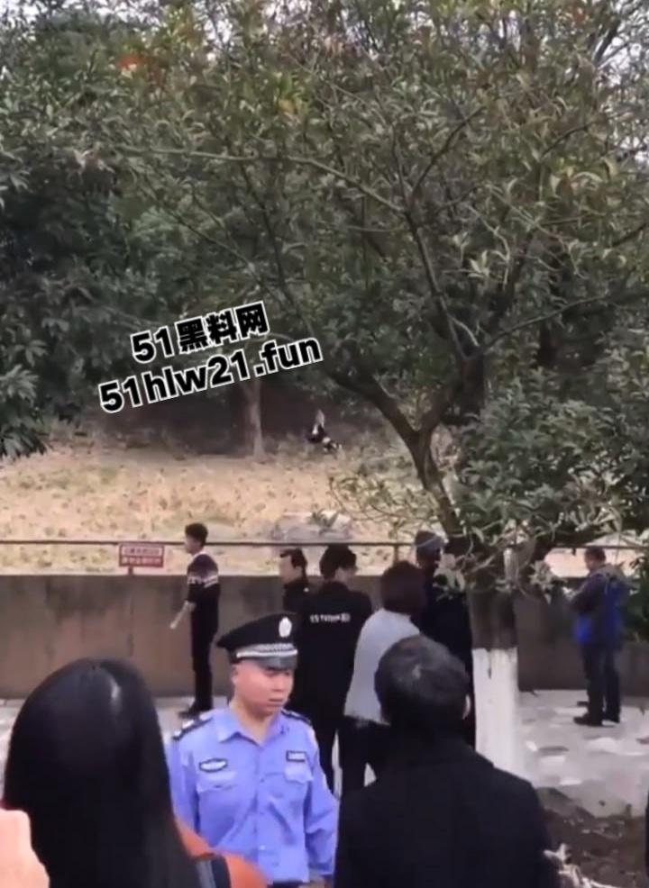 浙江宁波雅戈尔动物园，男子翻越围墙遭老虎攻击致死，老虎遭警方枪杀，园方称死者并没有买票。-5