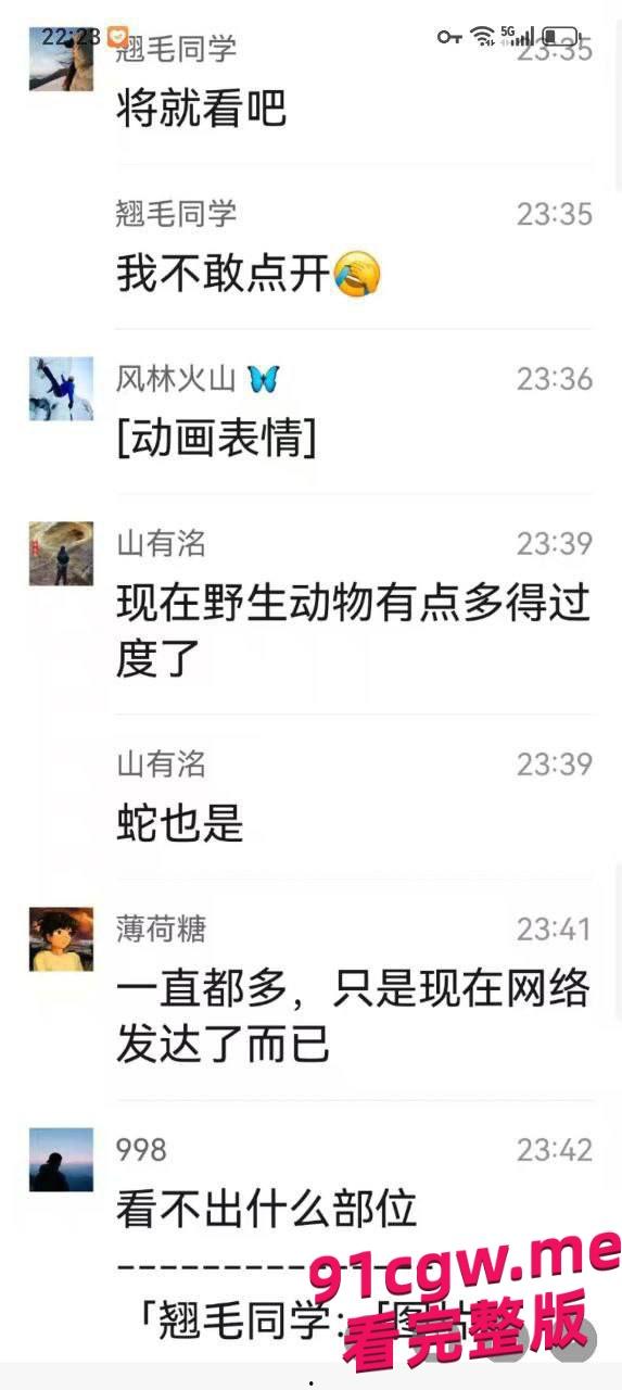 男子去西藏旅游被狗熊袭击，脸都吃没了血腥现场视频曝光！-8