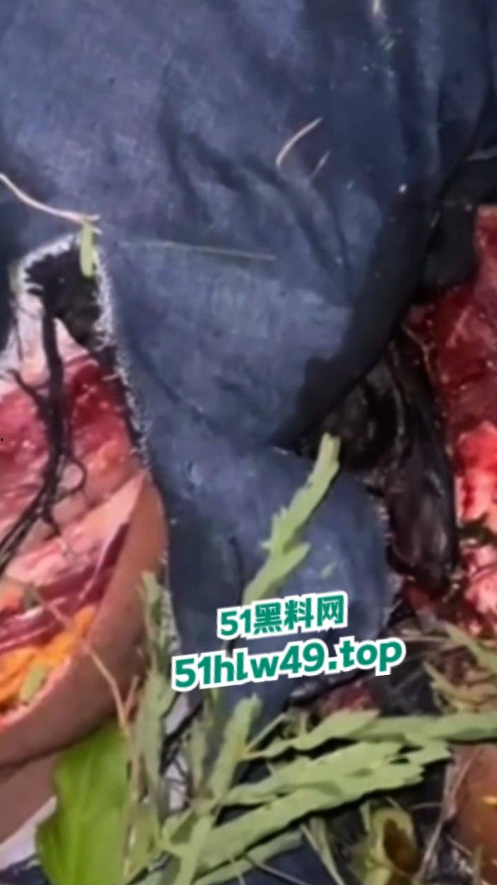 血腥恐怖，非洲南部车祸乡间公路步行，司机未看清路况当场将撞飞路人，手脚全断死相极其残忍。-3