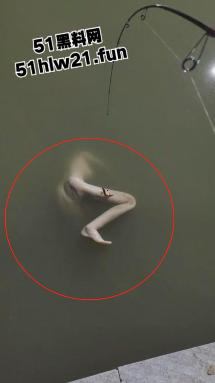 钓鱼佬夜钓惊现尸体，大长腿女尸钓鱼佬也太神奇，除了鱼钓不到以外什么都能钓到！-4
