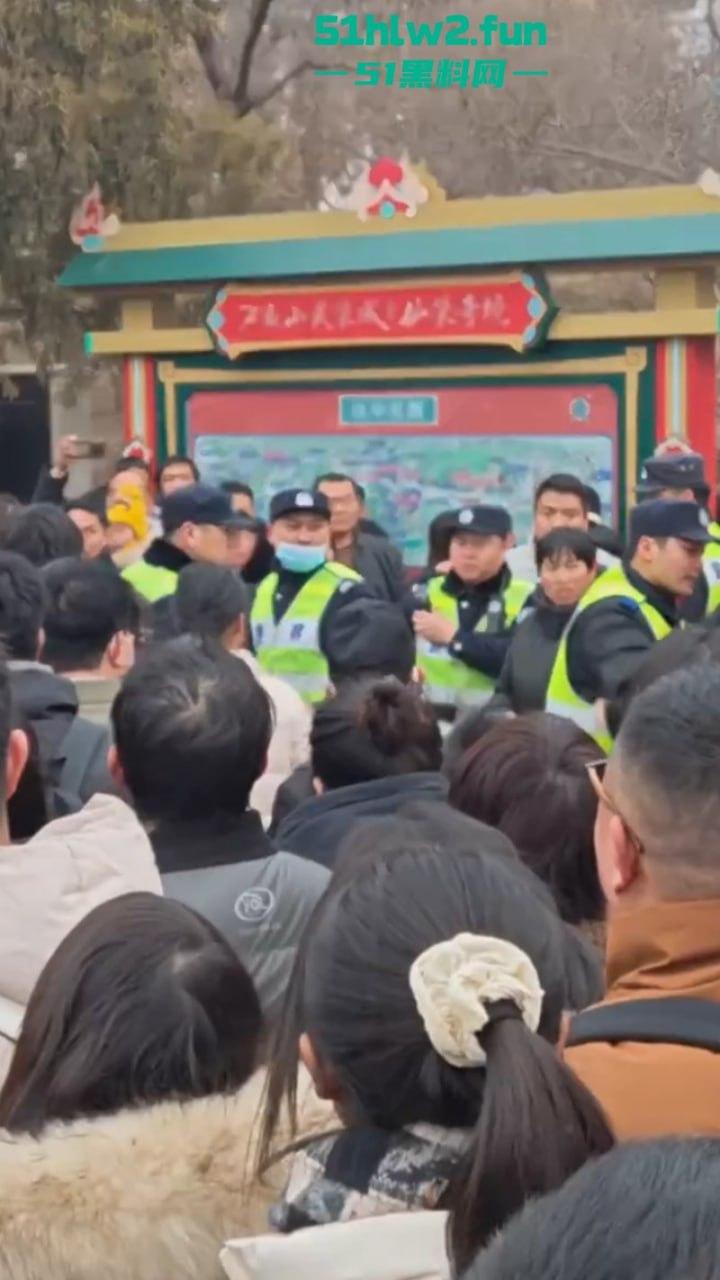 过年出游成风气，路见不平先插队！河南景区多次发生打架事件激烈打斗场面比表演还好看。-7