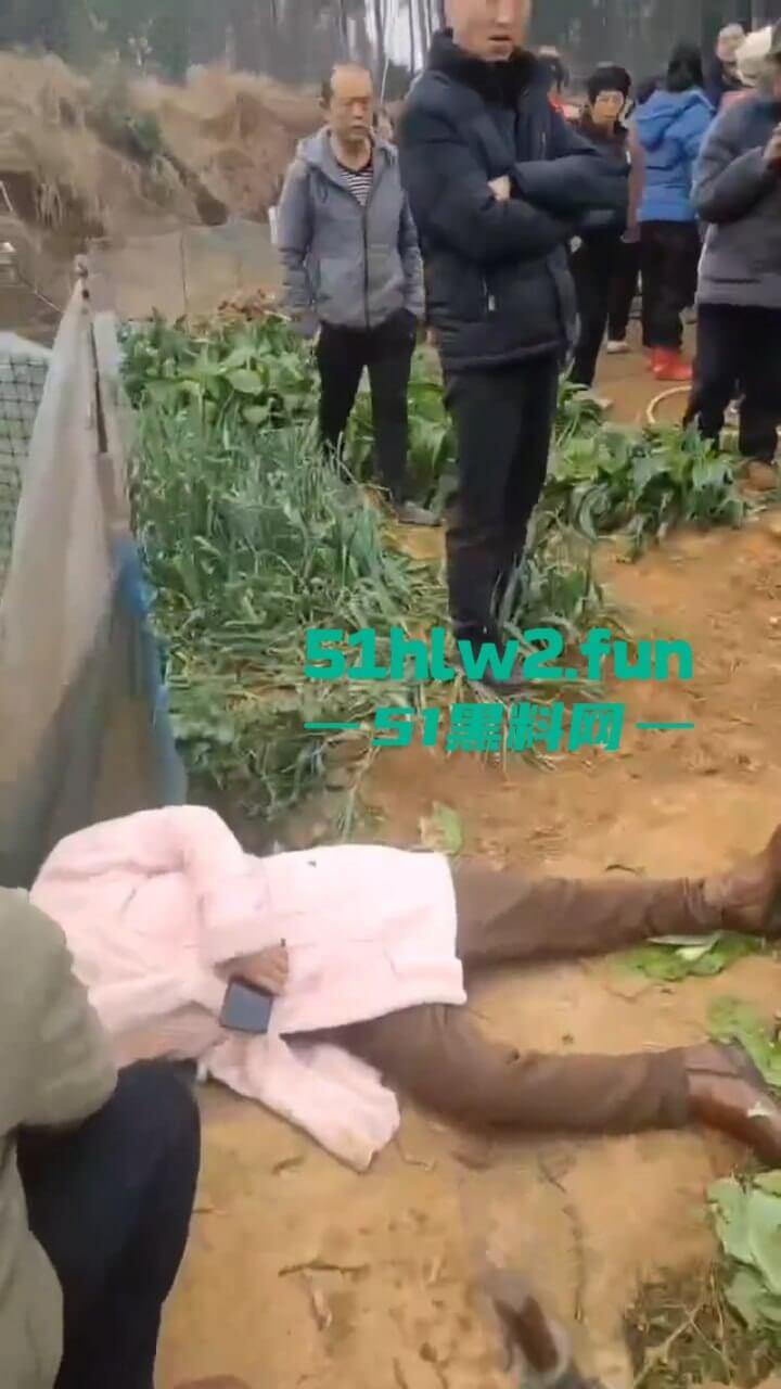 湖南衡阳李花村和添枝村互殴，数名外姓移门村民被打晕倒地不起，现场实拍流出。-3