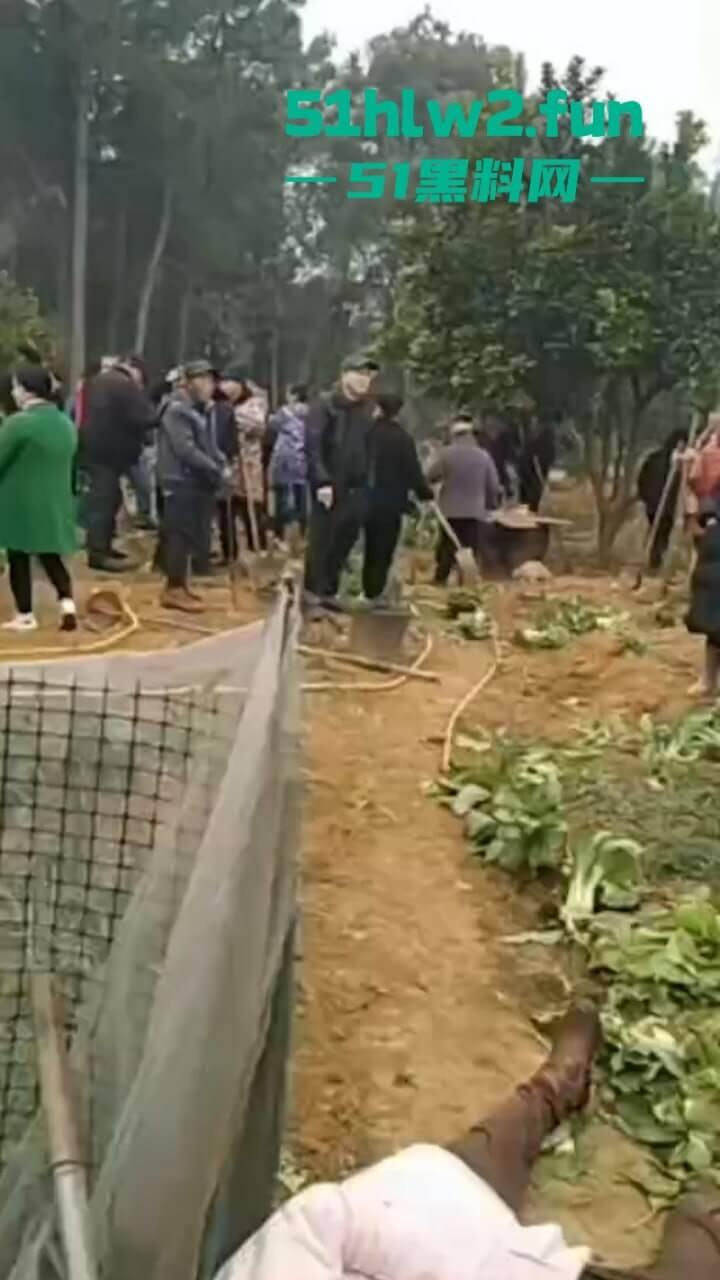 湖南衡阳李花村和添枝村互殴，数名外姓移门村民被打晕倒地不起，现场实拍流出。-4