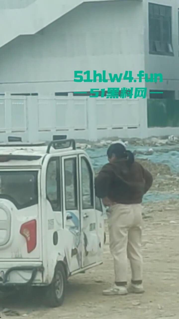 户外老头乐车震偷拍！50岁卖淫大娘拉着大爷激情野战，还得是你大爷啊这风流程度丝毫不减当年！-6