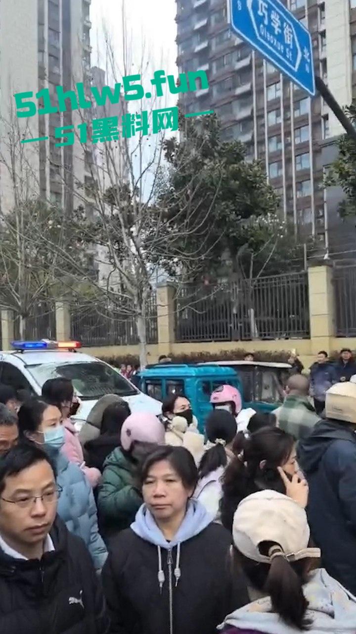 合肥滨湖小学，三年级小男生遭欺辱被剪操殖器，父亲发疯手刃覇凌同学。-3