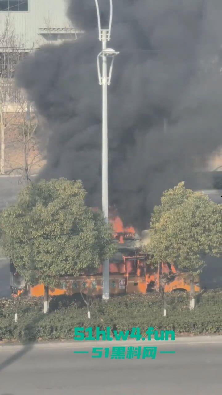 画面凄惨！安徽校车烧成骨架，2女孩互抱烧死幼儿园仍正常上课！目击者：起火后司机还继续开！-8